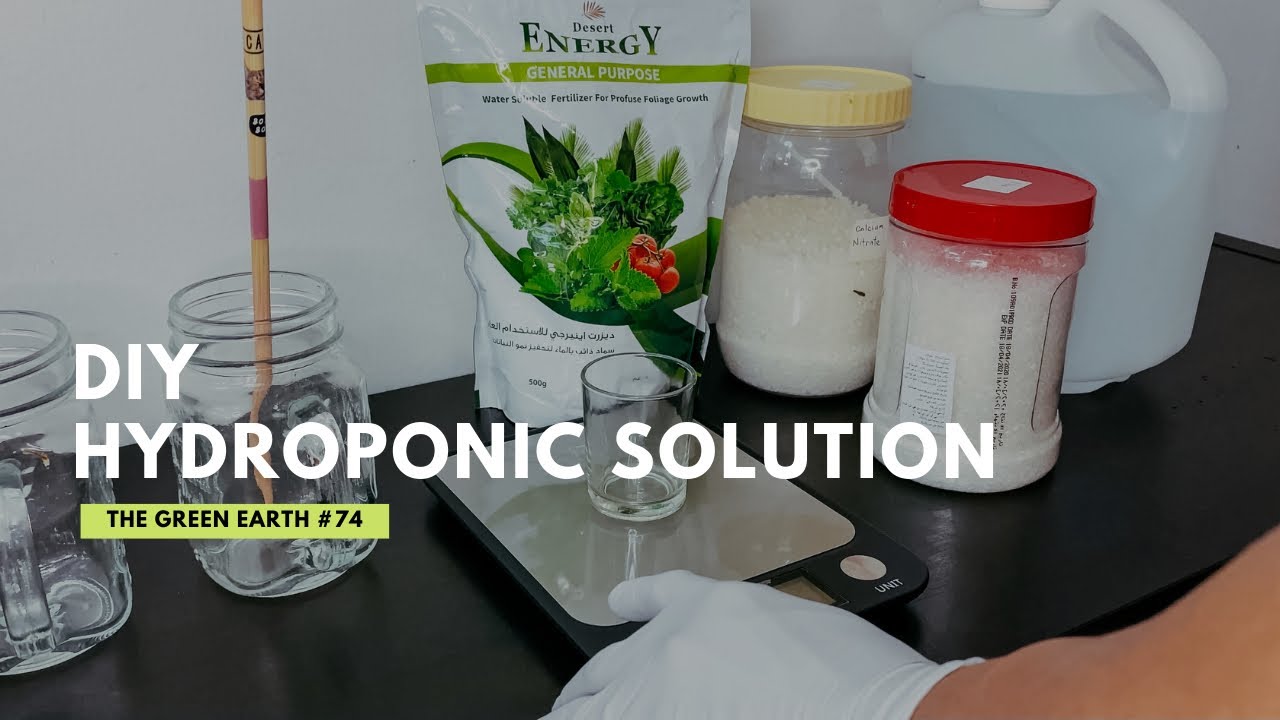 Hydroponic Organic Fertilizer Homemade