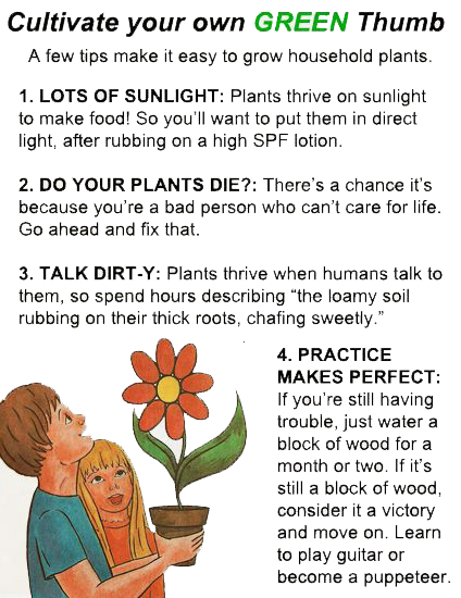 How to Improve Gardening